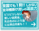 100Îɂ蓒p[