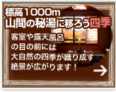 W1000m̔铒ɍLlG̐i